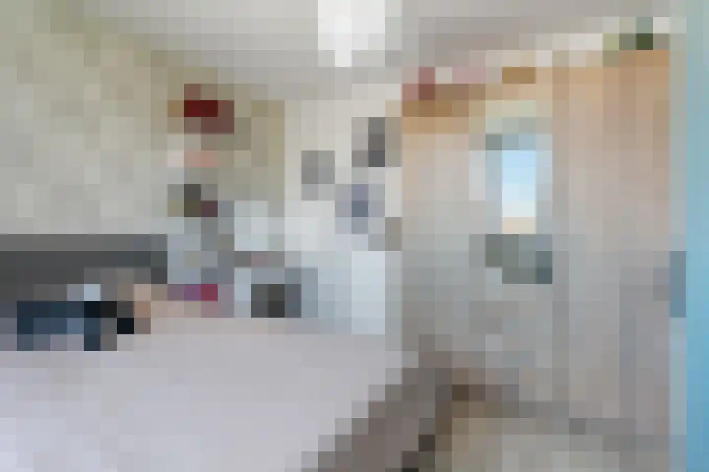 Weegschaal 16 Hoogezand thumbnail 21