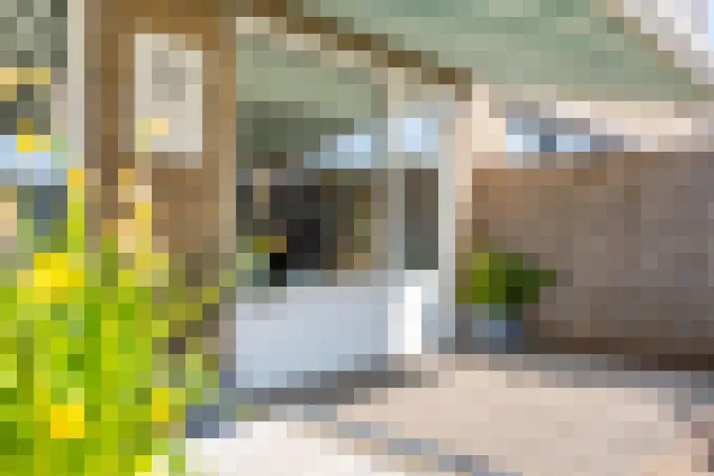 Weegschaal 16 Hoogezand thumbnail 33