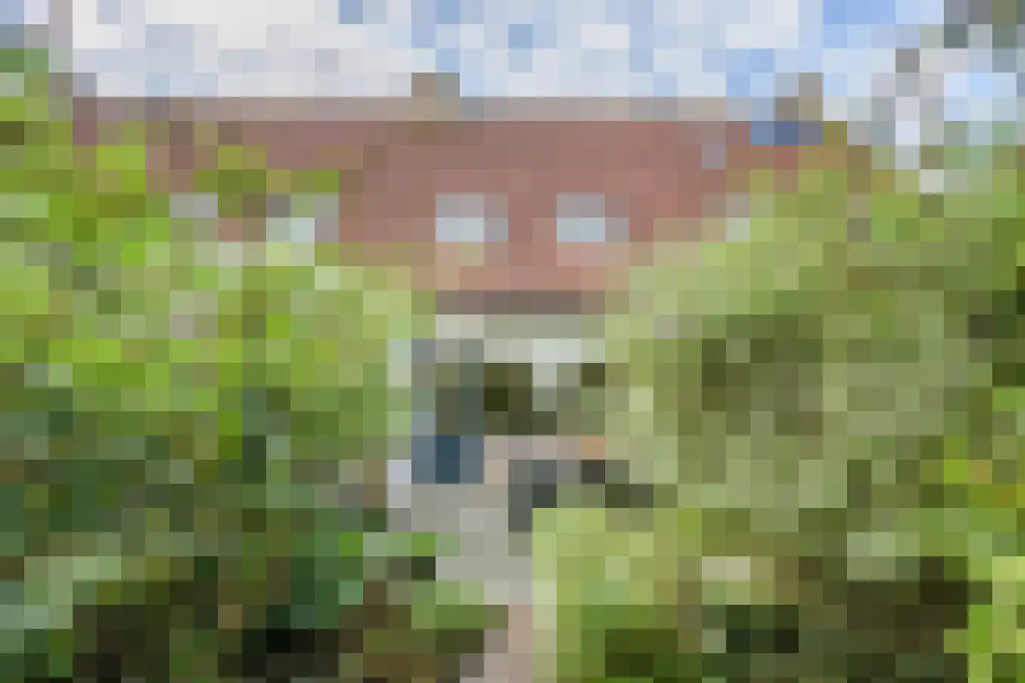 Weegschaal 2 Katwijk thumbnail 28