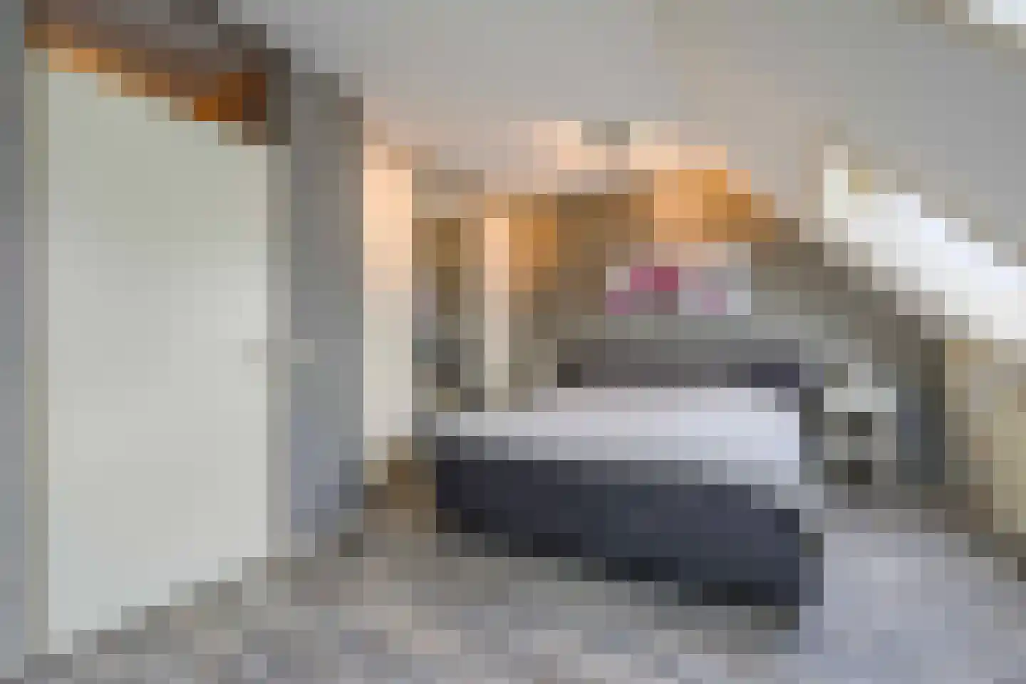 Weegschaal 2 Katwijk thumbnail 32