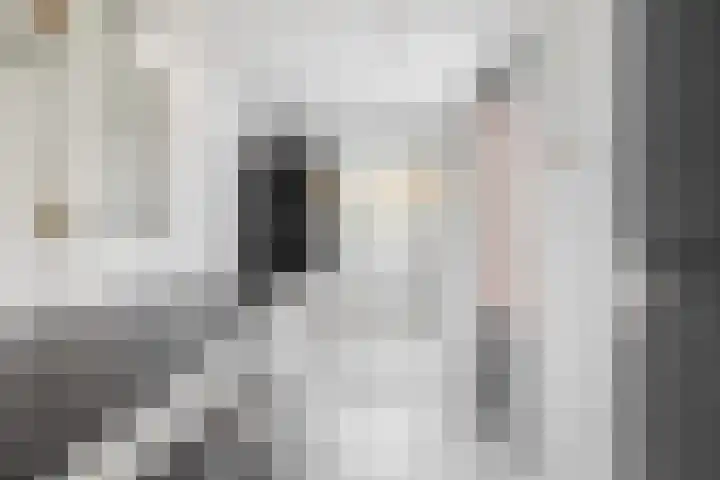 Weegschaal 2 Lemmer thumbnail 20