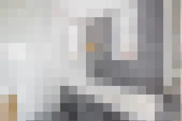 Weegschaal 2 Lemmer thumbnail 28