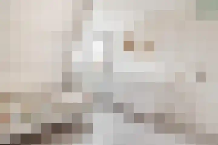 Weegschaal 2 Lemmer thumbnail 31