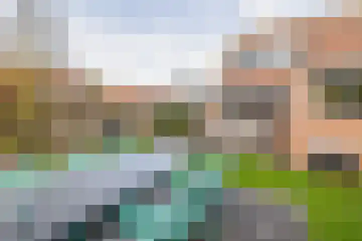 Weegschaal 2 Lemmer thumbnail 37