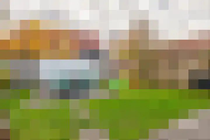 Weegschaal 2 Lemmer thumbnail 38