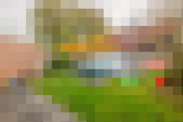 Weegschaal 2 Lemmer thumbnail 39