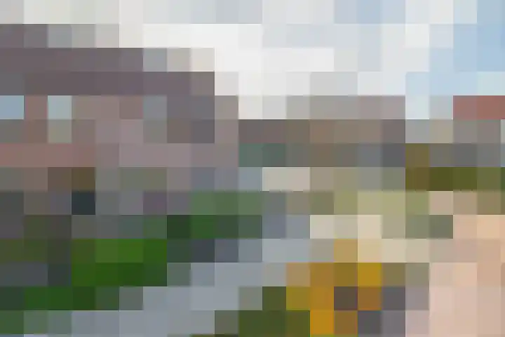 Weegschaal 2 Lemmer thumbnail 40