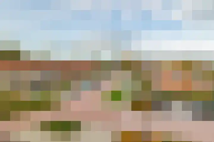 Weegschaal 2 Lemmer thumbnail 44