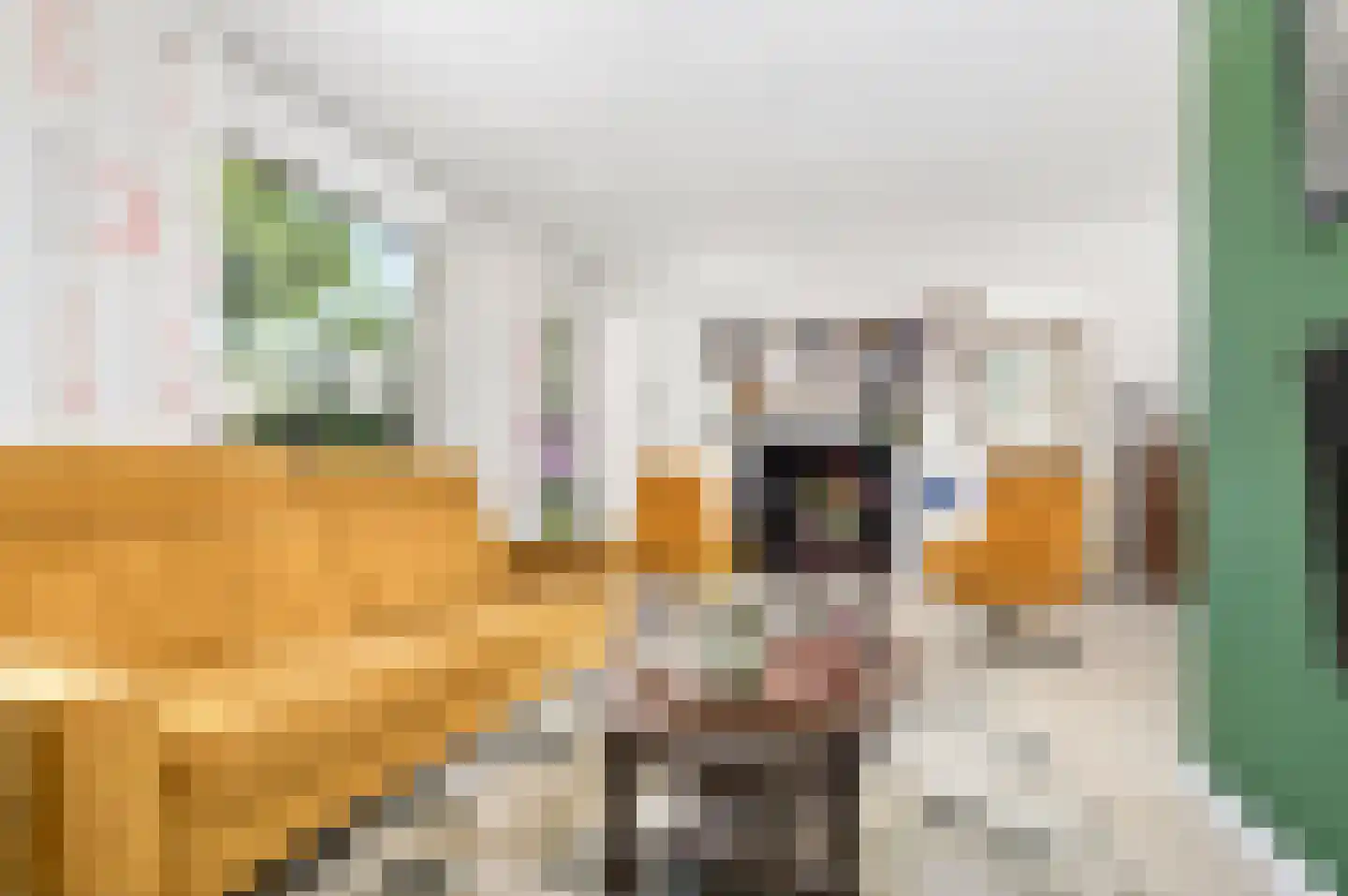 Weegschaal 20 Schijndel thumbnail 10