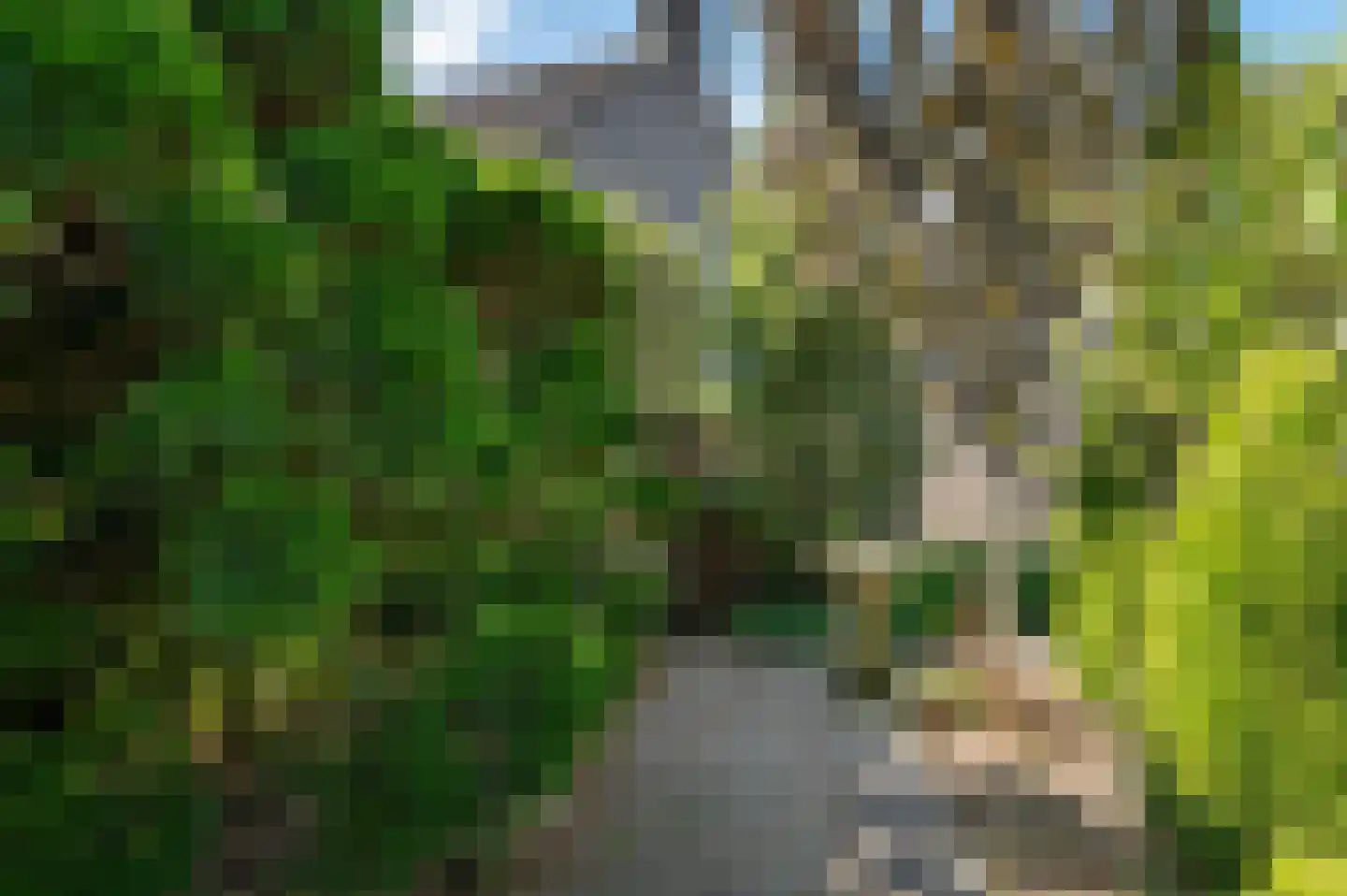 Weegschaal 20 Schijndel thumbnail 49