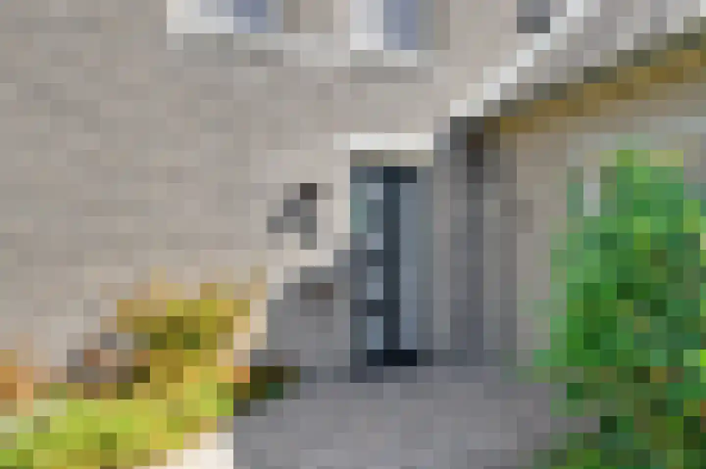 Weegschaal 20 Schijndel thumbnail 53