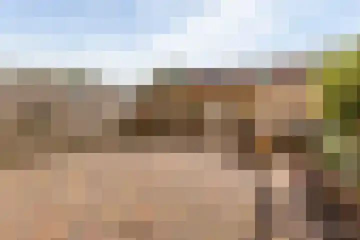 Weegschaal 34 Hoogezand thumbnail 33