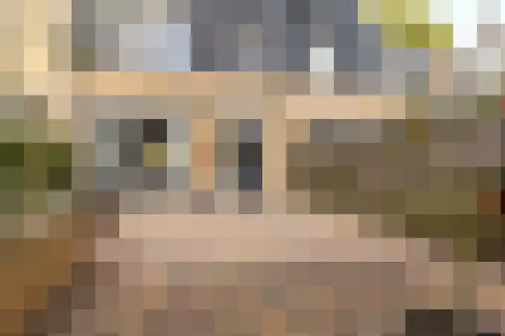 Weegschaal 34 Hoogezand thumbnail 37