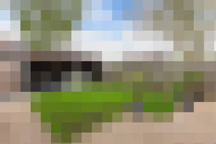 Weegschaal 34 Lemmer thumbnail 25