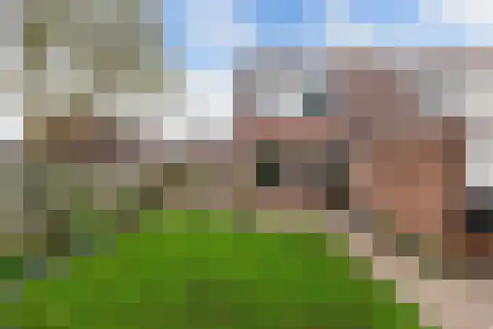 Weegschaal 34 Lemmer thumbnail 28