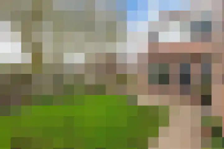 Weegschaal 34 Lemmer thumbnail 30