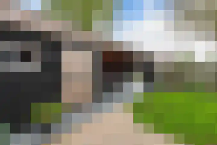 Weegschaal 34 Lemmer thumbnail 31