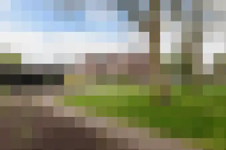 Weegschaal 34 Lemmer thumbnail 32