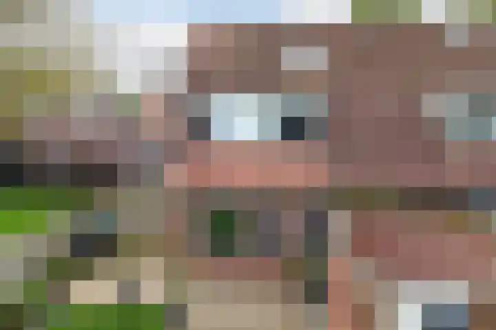 Weegschaal 34 Lemmer thumbnail 33