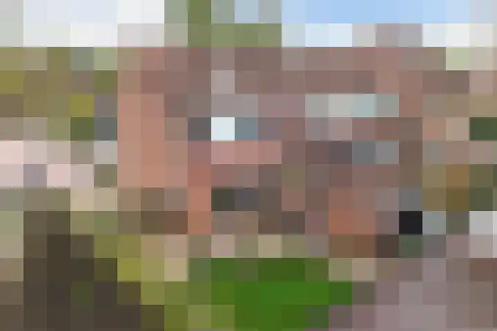 Weegschaal 34 Lemmer thumbnail 34