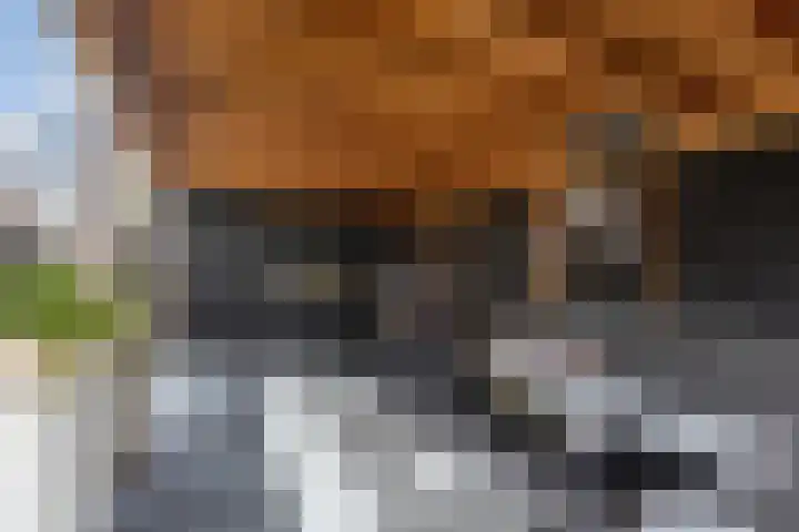 Weegschaal 34 Lemmer thumbnail 4