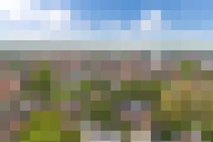 Weegschaal 34 Lemmer thumbnail 51