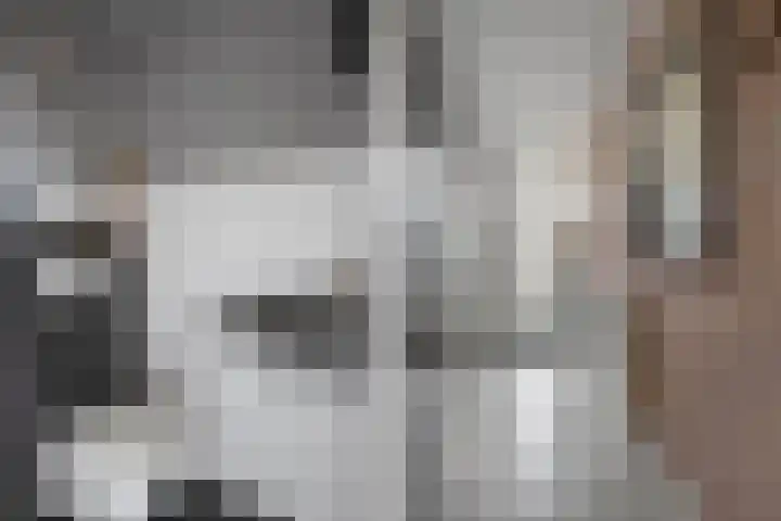 Weegschaal 34 Lemmer thumbnail 7