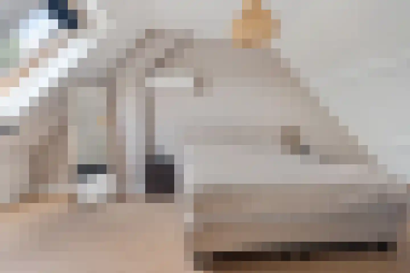 Weegschaal 42 Lemmer thumbnail 37