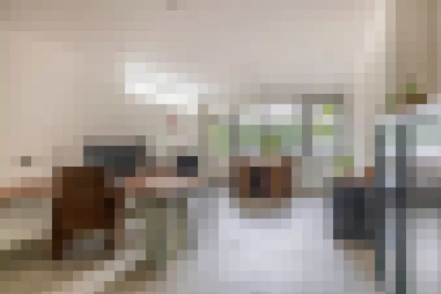 Weegschaal 5 Schijndel thumbnail 11
