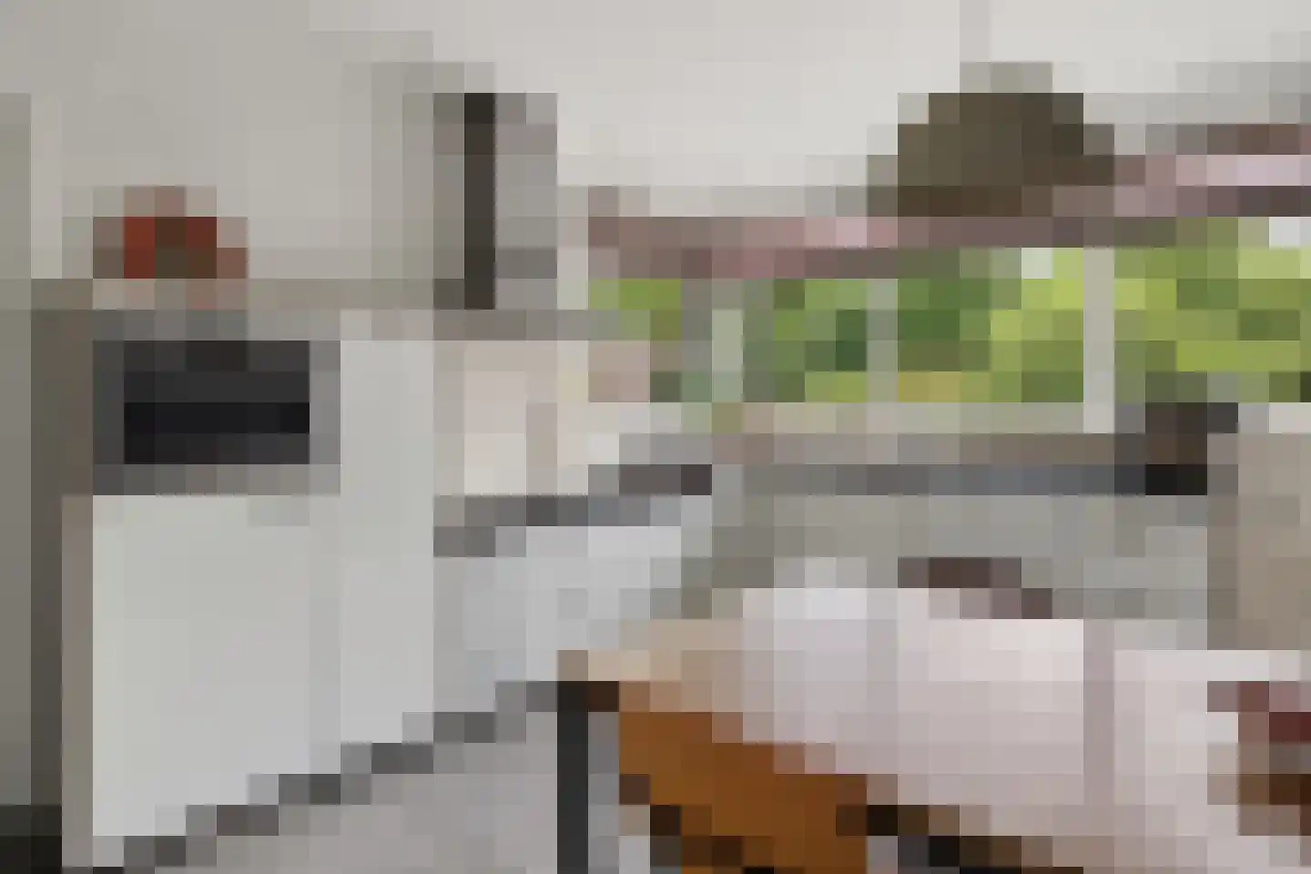 Weegschaal 5 Schijndel thumbnail 11