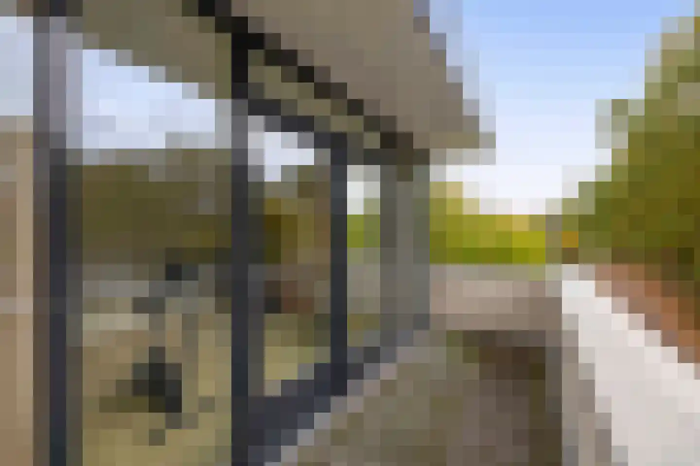 Weegschaal 5 Schijndel thumbnail 28
