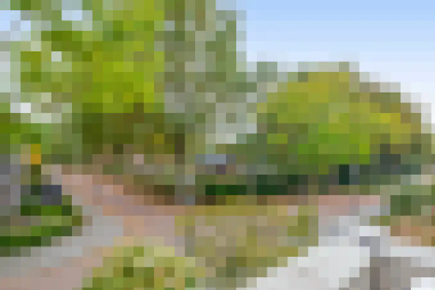 Weegschaal 5 Schijndel thumbnail 38