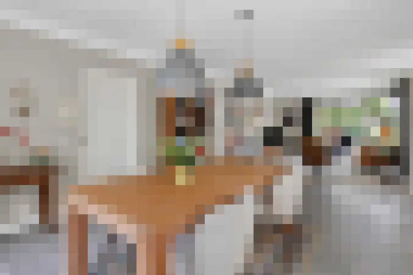 Weegschaal 5 Schijndel thumbnail 8