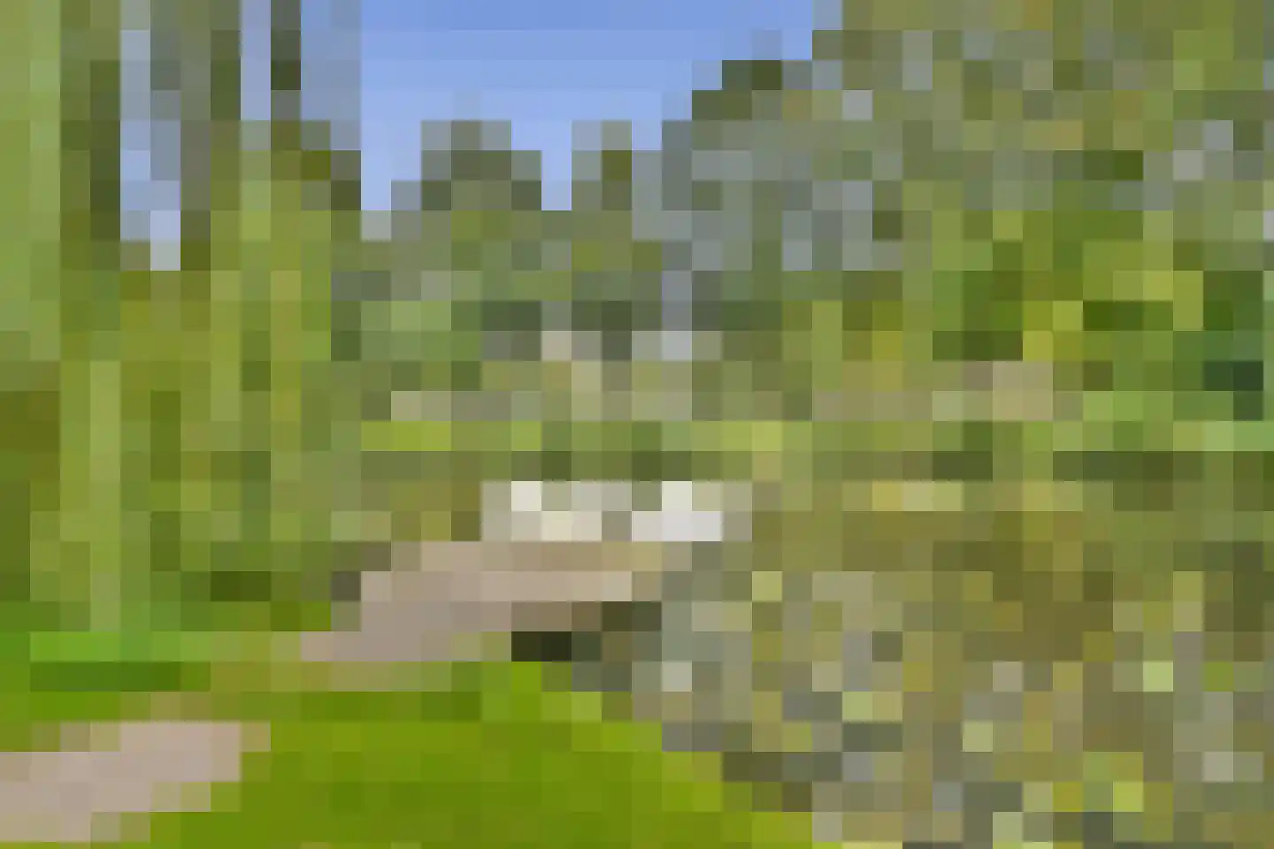 Weegschaal 53 Dordrecht thumbnail 26