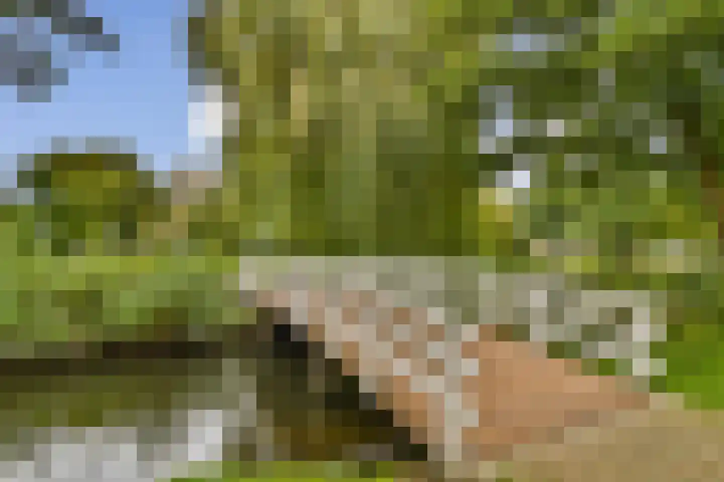 Weegschaal 53 Dordrecht thumbnail 27