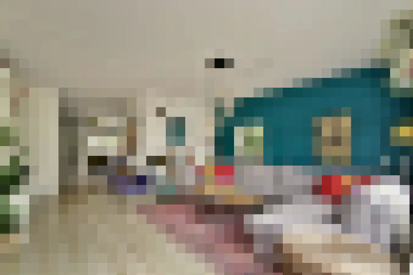 Weegschaal 53 Dordrecht thumbnail 5