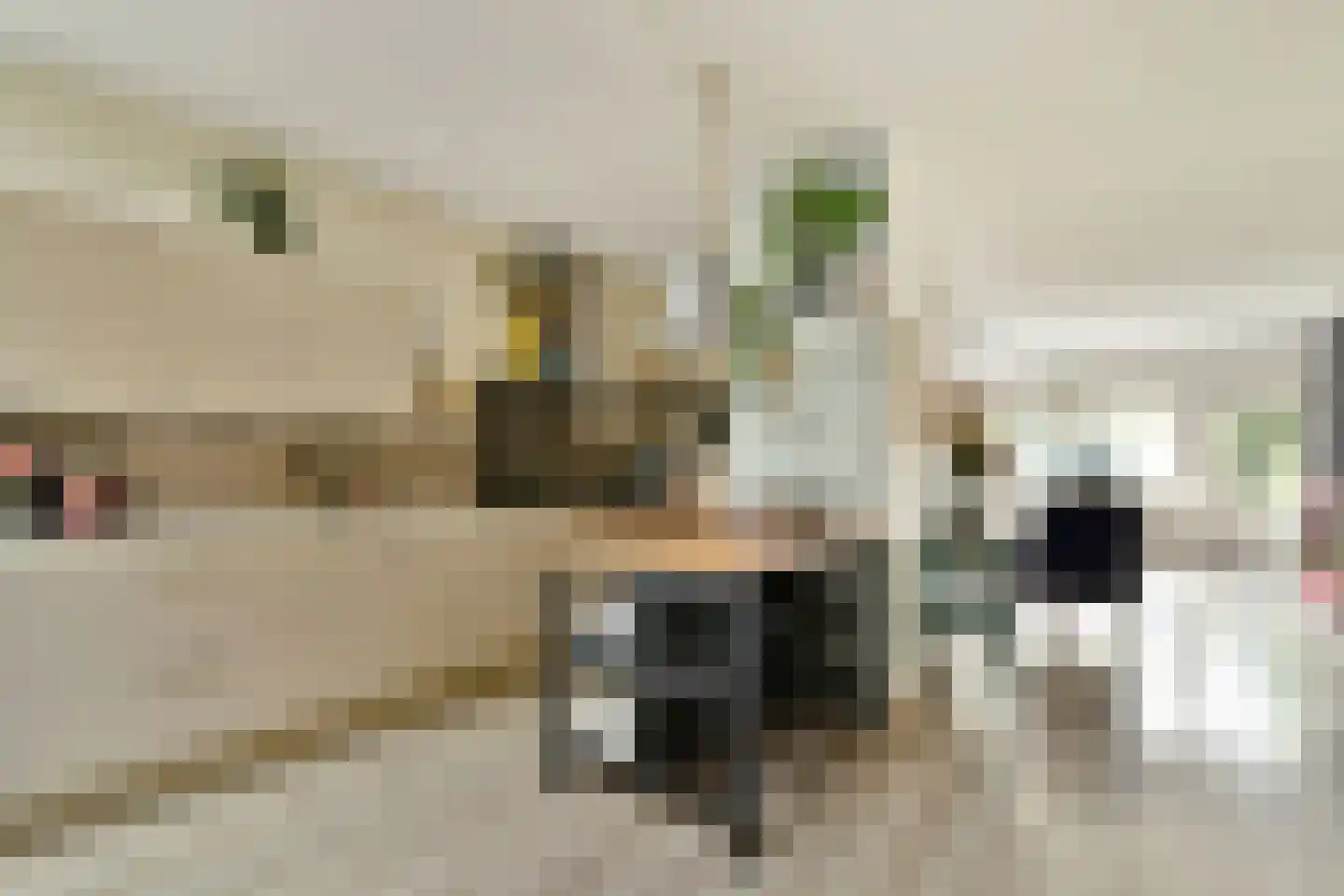 Weegschaal 53 Dordrecht thumbnail 7