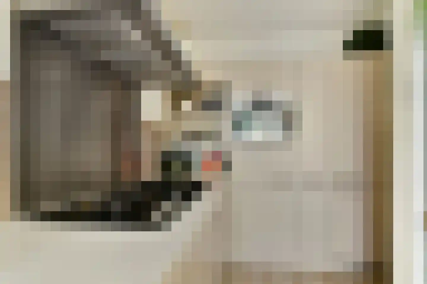 Weegschaal 53 Dordrecht thumbnail 8