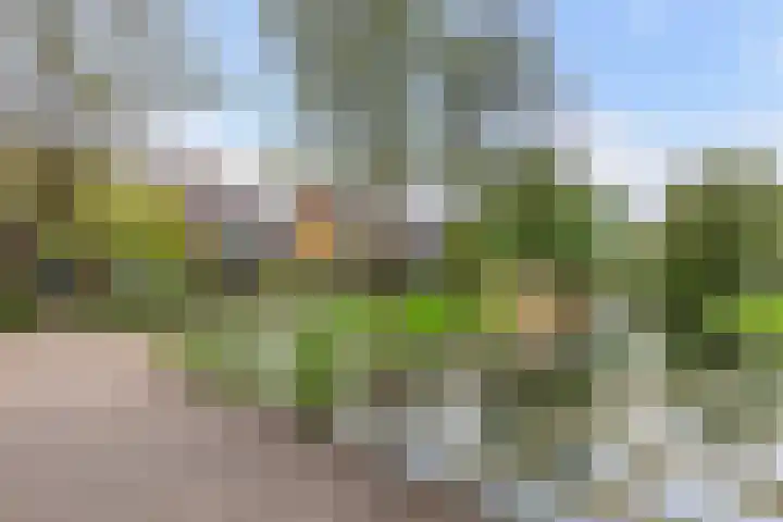 Weegschaal 59 Dordrecht thumbnail 41