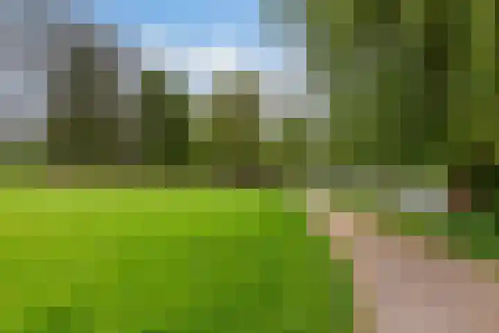 Weegschaal 59 Dordrecht thumbnail 43
