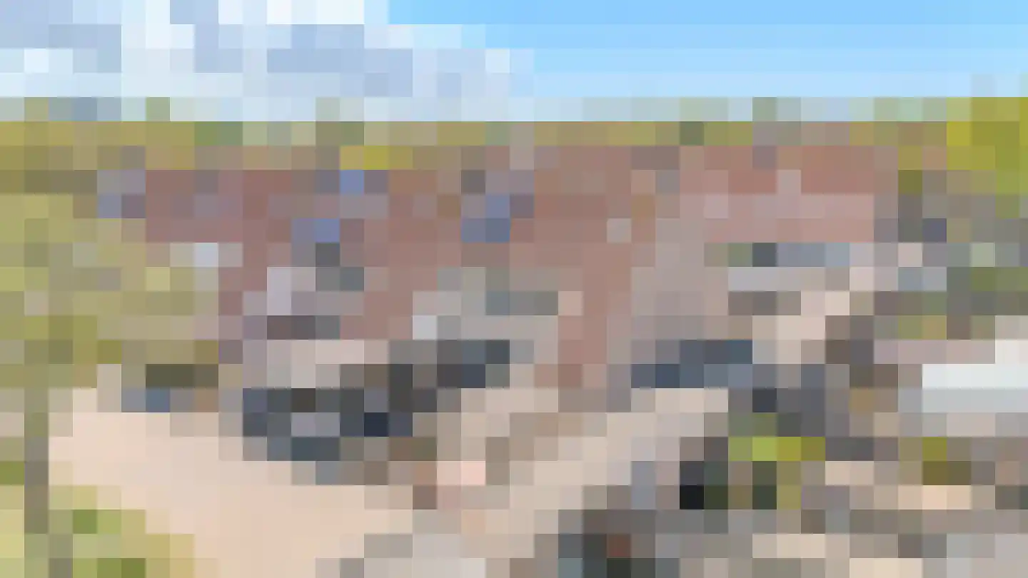 Weegschaal 59 Katwijk thumbnail 6