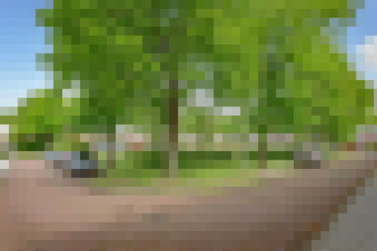 Weegschaalhof 9 Amsterdam thumbnail 31