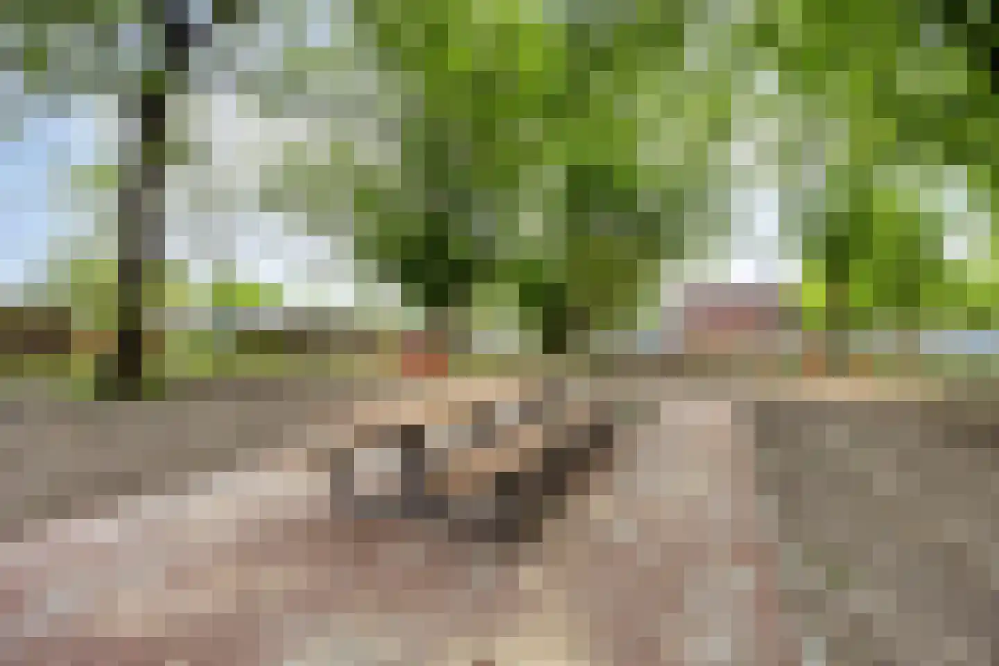 Weegschaalhof 9 Amsterdam thumbnail 34