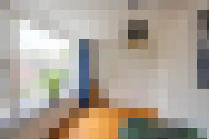 Weegschaalstraat 17 Groningen thumbnail 20