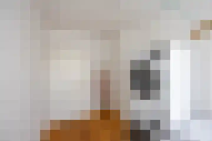 Weegschaalstraat 17 Groningen thumbnail 24