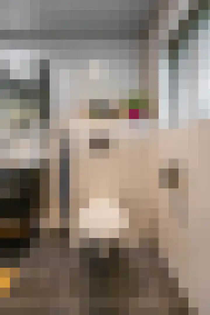 Weegschaalstraat 17 Groningen thumbnail 27
