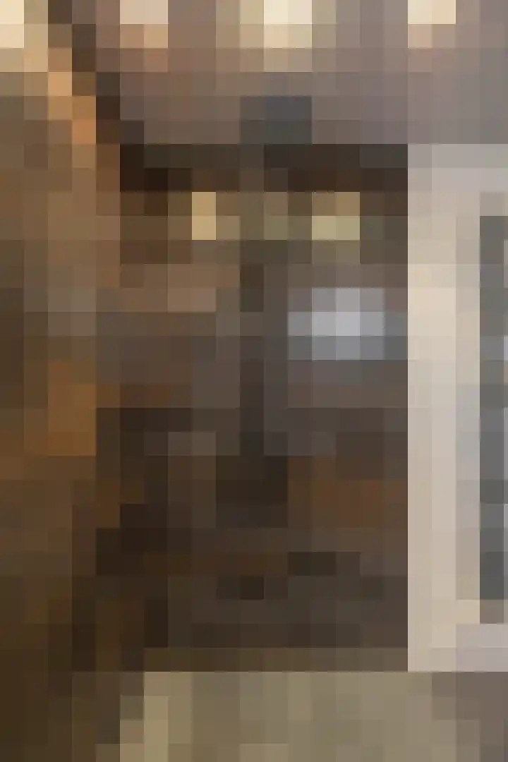 Weegschaalstraat 17 Groningen thumbnail 28