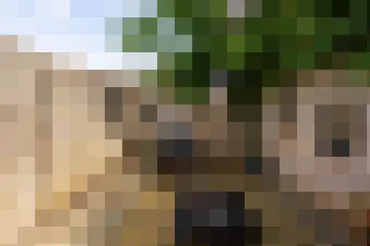 Weegschaalstraat 17 Groningen thumbnail 35