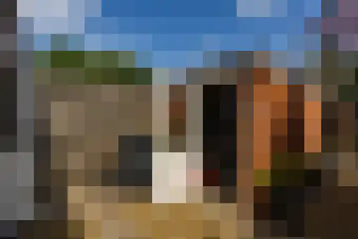 Weegschaalstraat 17 Groningen thumbnail 36