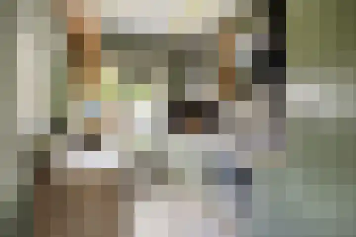 Weegschaalstraat 24 Eindhoven thumbnail 10